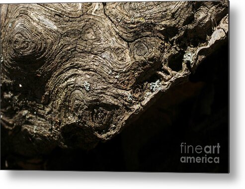 Wood Metal Print featuring the photograph Suffer to the Edge by Adam Long