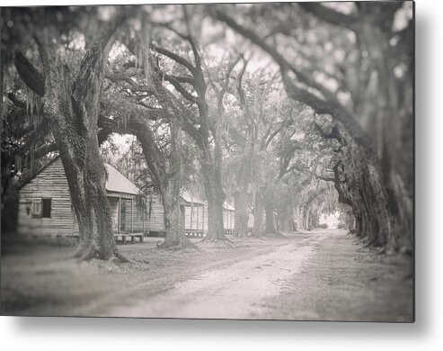 Architecture Metal Print featuring the photograph Sugar Cane Plantation by Jim Shackett