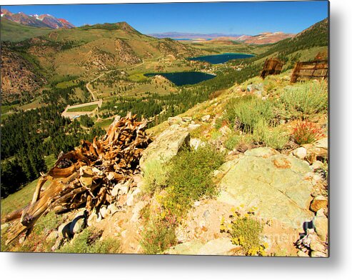 June Mountain Metal Print featuring the photograph Summer At June by Adam Jewell
