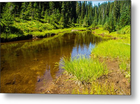Faa_export Metal Print featuring the photograph Summer at the lake by Kunal Mehra