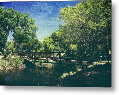 Contra Loma Regional Park Metal Print featuring the photograph Summer Draws Near by Laurie Search