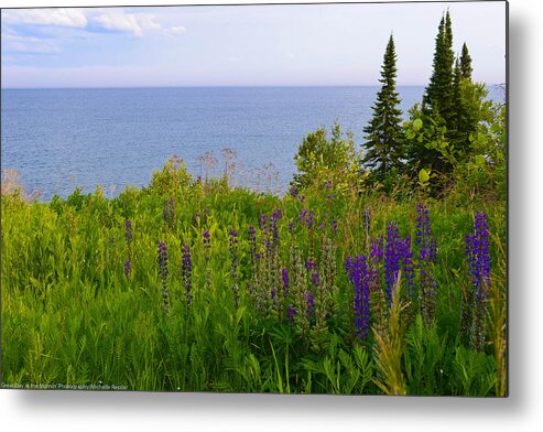 Landscape Metal Print featuring the photograph Summer lake view by Michelle Ressler