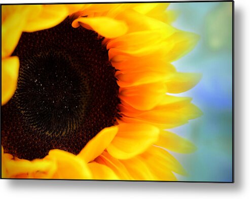 Sunflower Metal Print featuring the photograph Sunflower by Blessed by Gaia