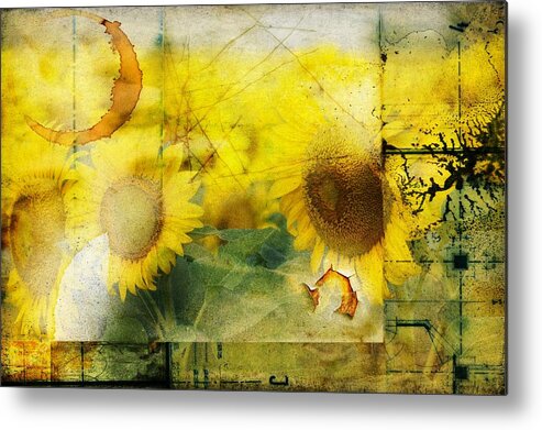 Sunflower Metal Print featuring the photograph Sunflower Grunge by Kathy Churchman