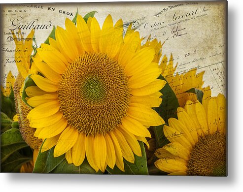 Flower Metal Print featuring the photograph Sunflower Letters by Cathy Kovarik