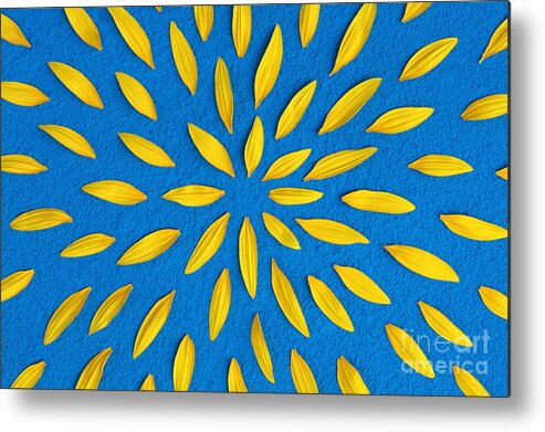 Sunflower Metal Print featuring the photograph Sunflower petals pattern by Tim Gainey