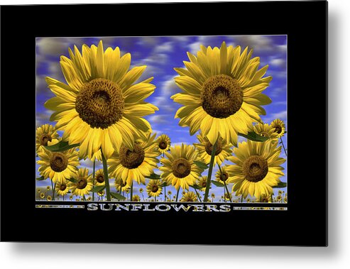 Flowers Metal Print featuring the photograph Sunflowers Show Print by Mike McGlothlen
