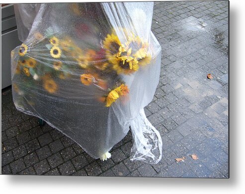 Sunflowers Metal Print featuring the photograph Sunflowers protected against rain by Matthias Hauser