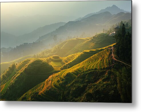 Guangxi Metal Print featuring the photograph Sunrise at Terrace in Guangxi China 2 by Afrison Ma