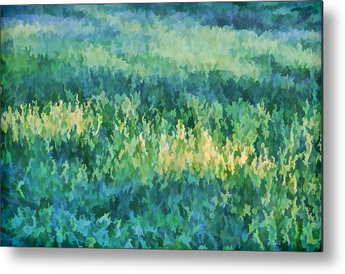 David Letts Metal Print featuring the painting Sunrise at the Green Meadow by David Letts