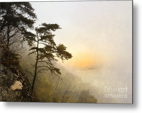 Fog Metal Print featuring the photograph Sunrise in the Mist - D004200a-a by Daniel Dempster