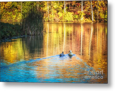 Sunrise Metal Print featuring the photograph Sunrise Lake Rendezvous by Sophie Doell