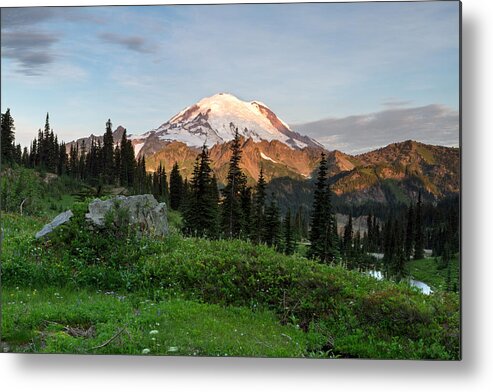 Abies Lasiocarpa Metal Print featuring the photograph Sunrise Light on Mount Rainier by Michael Russell