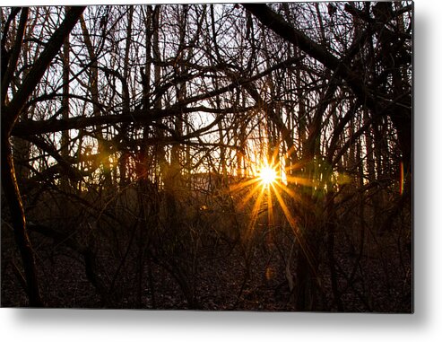 2014 Metal Print featuring the photograph Sunset and Vine by Haren Images- Kriss Haren