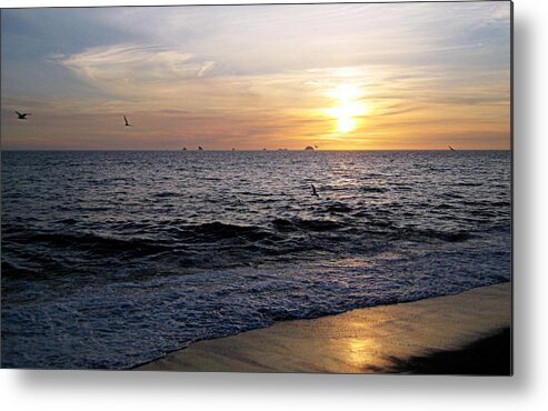 Scenic Metal Print featuring the photograph Sunset at Paradise Point by AJ Schibig