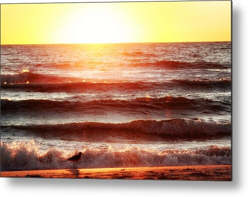 Sunset Metal Print featuring the photograph Sunset Beach by Daniel George