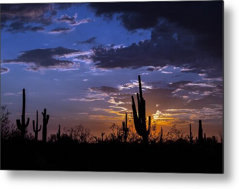 Sunset Metal Print featuring the photograph Sunset Calm by Tam Ryan