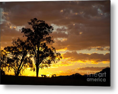 Sunset Metal Print featuring the photograph Sunset by Carole Lloyd