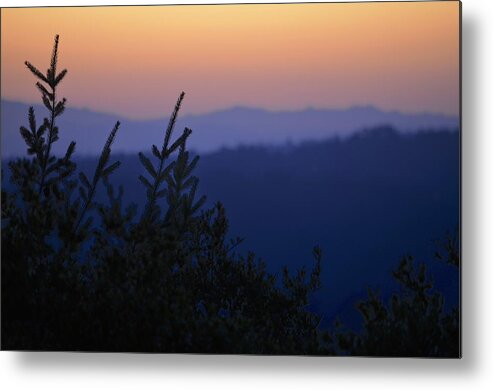 Wildlife Metal Print featuring the photograph California Mountain, Orange Sky by Alex King