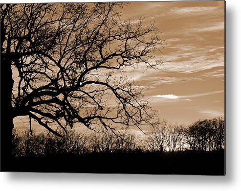Sunset Metal Print featuring the photograph Sunset in Sepia C by Jeanne May