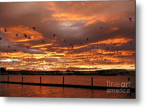 Sunset Metal Print featuring the photograph Sunset in Tauranga New Zealand by Jola Martysz