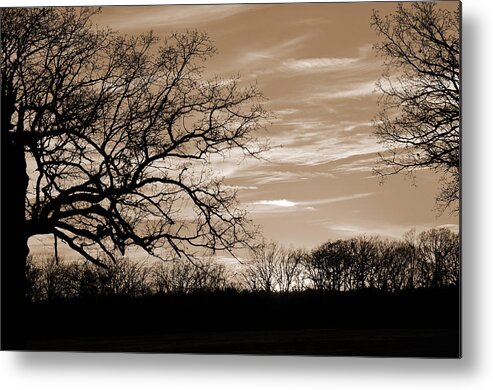 Sunset Metal Print featuring the photograph Sunset is Sepia by Jeanne May