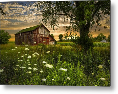 Appalachia Metal Print featuring the photograph Sunset Lace by Debra and Dave Vanderlaan