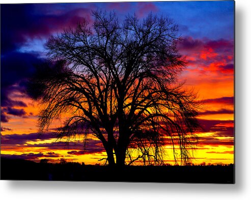 Sunset Metal Print featuring the photograph Sunset Silhouette by Greg Norrell