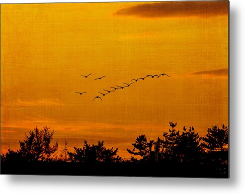 Orange Metal Print featuring the photograph Sunset Silhouettes by Cathy Kovarik