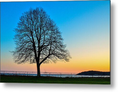 Sunset Metal Print featuring the photograph Sunset Tree by Michael Hubley