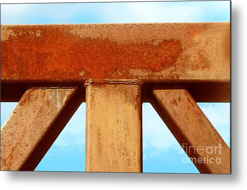 Metal Metal Print featuring the photograph Support by Cristophers Dream Artistry
