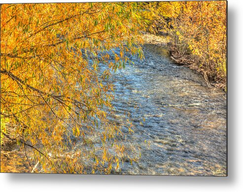 Reflections Metal Print featuring the photograph Surrounded By Gold by Jennifer Grossnickle