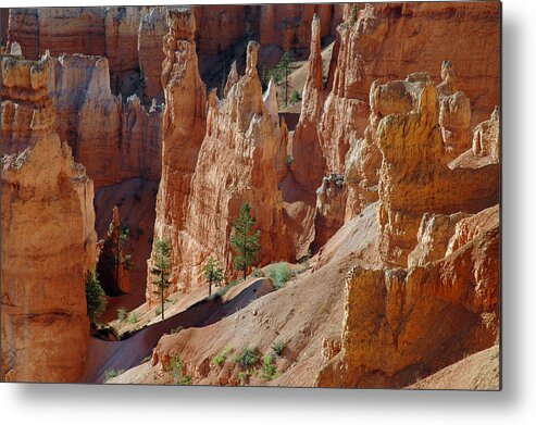  Metal Print featuring the photograph Survival of the Trees in Bryce Canyon by Bruce Gourley