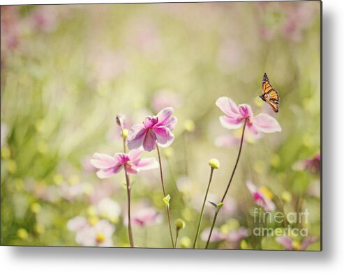 Butterfly Metal Print featuring the photograph Sweet Butterfly Garden by Susan Gary