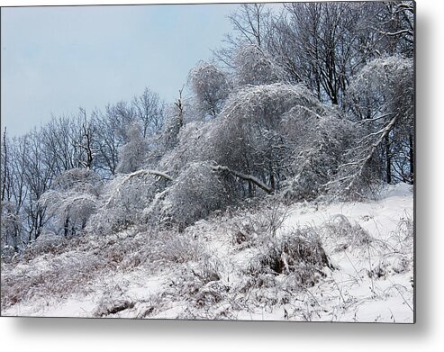 Ice Trees Storm New York Winter Metal Print featuring the photograph Syracuse Ice Storm by William Kimble