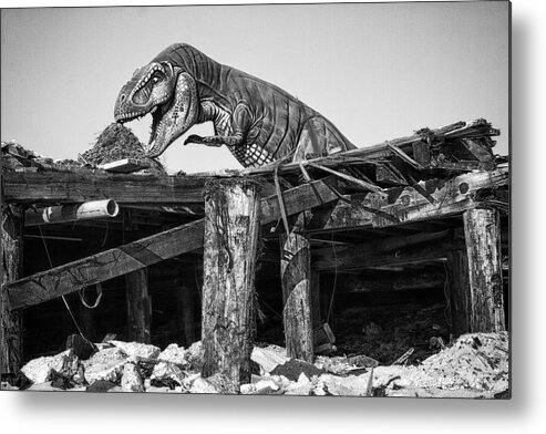 Black And White Metal Print featuring the photograph T-rex by Dawn J Benko