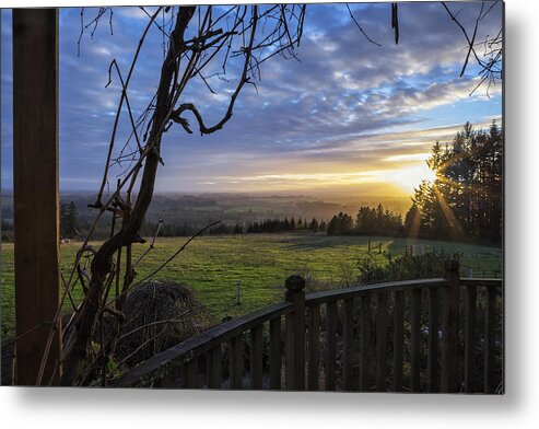 Sunset Metal Print featuring the photograph Taking it In by Belinda Greb