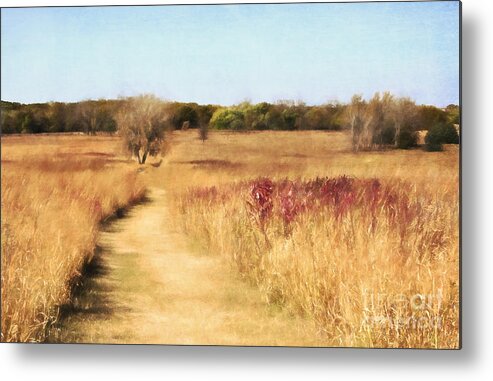 Grass Metal Print featuring the photograph Tall Grass Prairie by Pam Holdsworth
