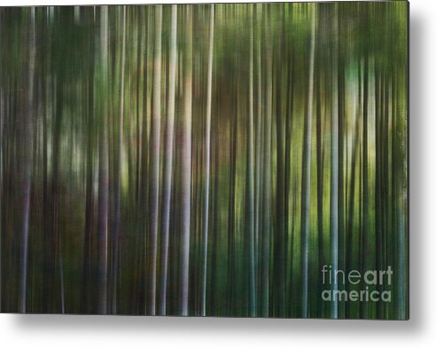 Pine Trees Metal Print featuring the digital art Tall Pines by Jayne Carney