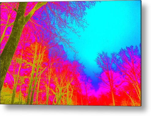 Trees Metal Print featuring the photograph Technicolor Fantasy by Pamela Hyde Wilson