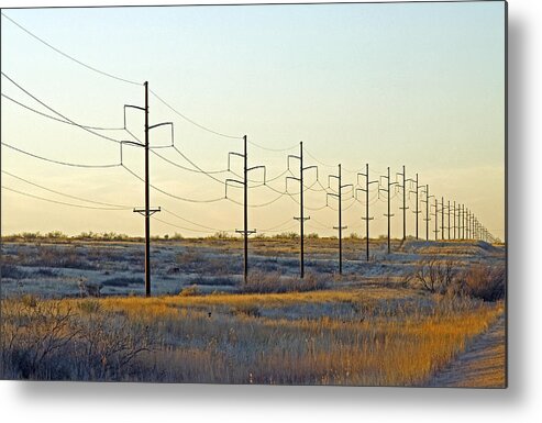 Afternoon Light Metal Print featuring the photograph Telephone Poles, New Mexico by James Steinberg