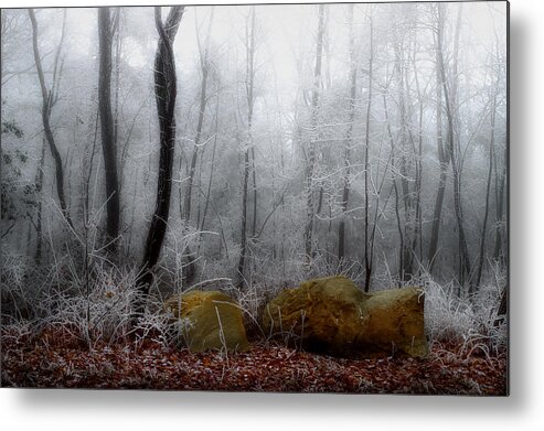 Landscape Frost Metal Print featuring the photograph Tennessee Mountain Frost by Michael Eingle