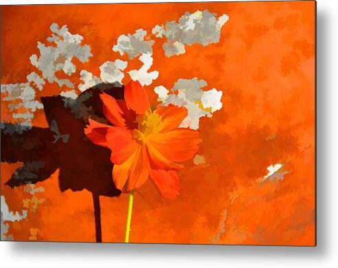Still Life Metal Print featuring the photograph Terra Cotta Shadows by Jan Amiss Photography
