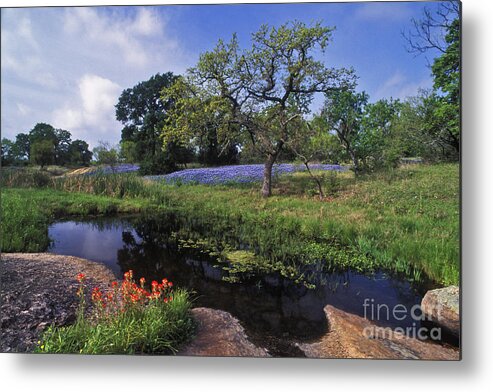 Texas Metal Print featuring the photograph Texas Hill Country - FS000056 by Daniel Dempster