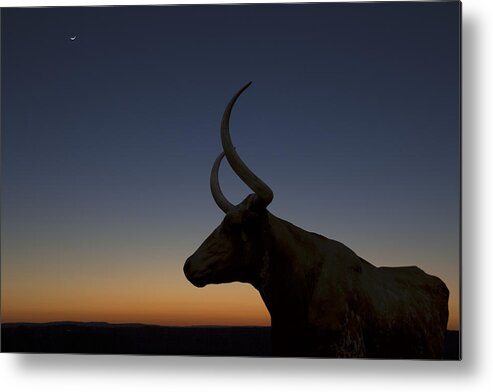 Longhorn Images Metal Print featuring the photograph Texas Images - Longhorn Silhoutte after Sunset by Rob Greebon