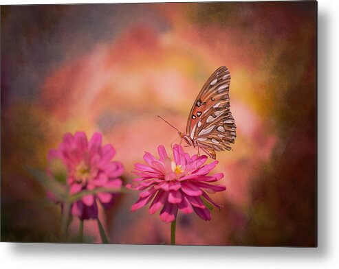Joel Olives Metal Print featuring the photograph Textured Gulf Fritillary by Joel Olives