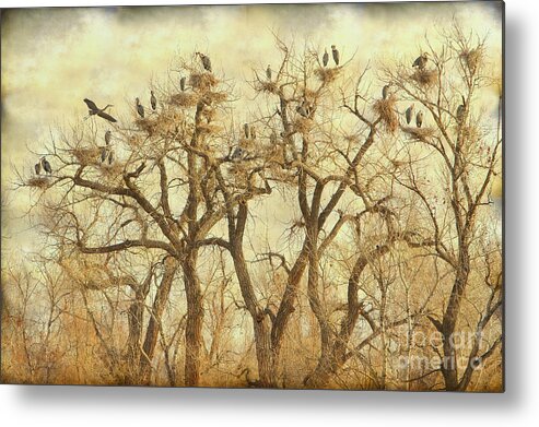 Blue Heron Metal Print featuring the photograph Thats A Lot Of Great Blue Heron by James BO Insogna