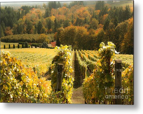 Spiritual Metal Print featuring the photograph The Beautiful Willamette Valley by Margaret Hood