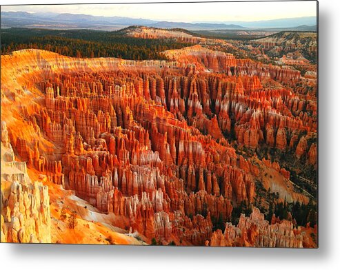 Morning Metal Print featuring the photograph The Beauty Of Bryce Canyon In The Morning by Jeff Swan