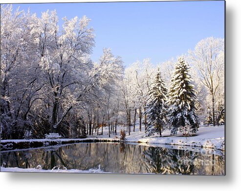 Marcia Lee Jones Metal Print featuring the photograph The Beauty Of White by Marcia Lee Jones